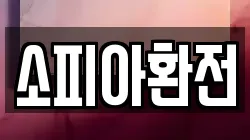 소피아환전