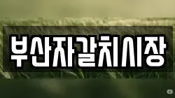부산자갈치시장