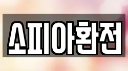 소피아환전