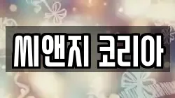 씨앤지 코리아