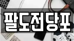 팔도전당포