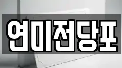 연미전당포