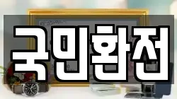 국민환전