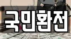국민환전