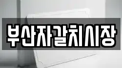 부산자갈치시장