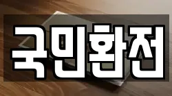 국민환전
