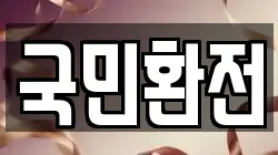 국민환전