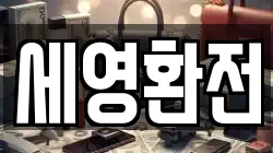 세영환전