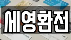 세영환전