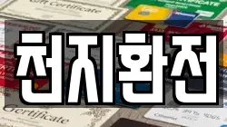 천지환전