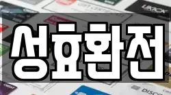 성효환전