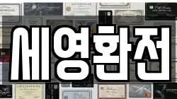 세영환전