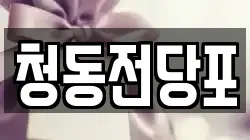 청동전당포