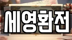 세영환전