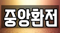 중앙환전