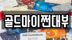 골드마이쩐대부