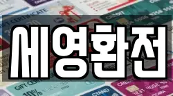 세영환전