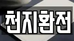 천지환전