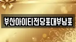 부산아이티전당포대부남포