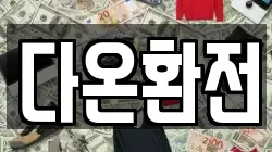 다온환전