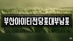 부산아이티전당포대부남포