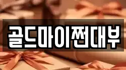 골드마이쩐대부