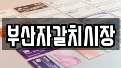 부산자갈치시장
