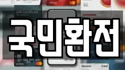 국민환전