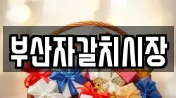 부산자갈치시장