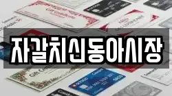 자갈치신동아시장