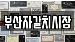 부산자갈치시장