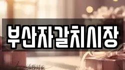 부산자갈치시장