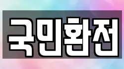 국민환전