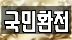 국민환전