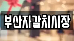 부산자갈치시장