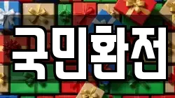 국민환전