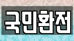 국민환전
