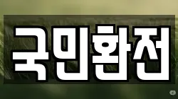 국민환전