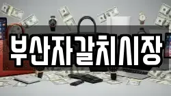 부산자갈치시장