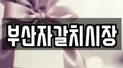 부산자갈치시장