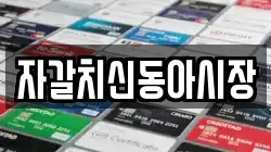 자갈치신동아시장