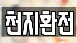 천지환전
