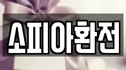 소피아환전