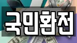 국민환전
