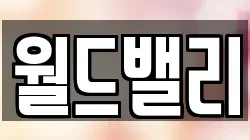 월드밸리