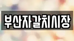 부산자갈치시장