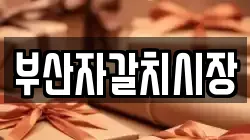 부산자갈치시장