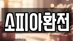 소피아환전