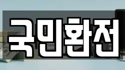 국민환전