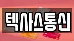 텍사스통신